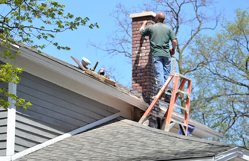 Chimney & Fireplace Inspections Services in Dix Hills, NY